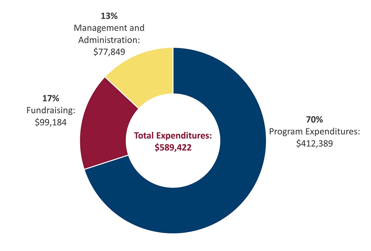 first literacy total expenditure pie chart FY 2021 mobile